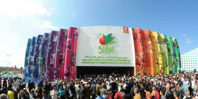 Il Salone Internazionale dell’Agricoltura del Marocco e le opportunità per le imprese italiane 