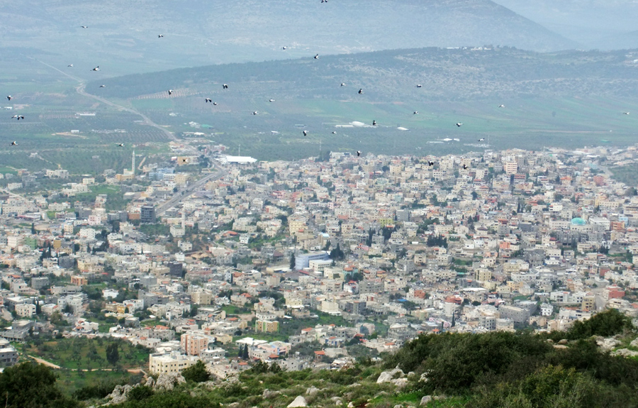 I fortunati arabi del Medio Oriente