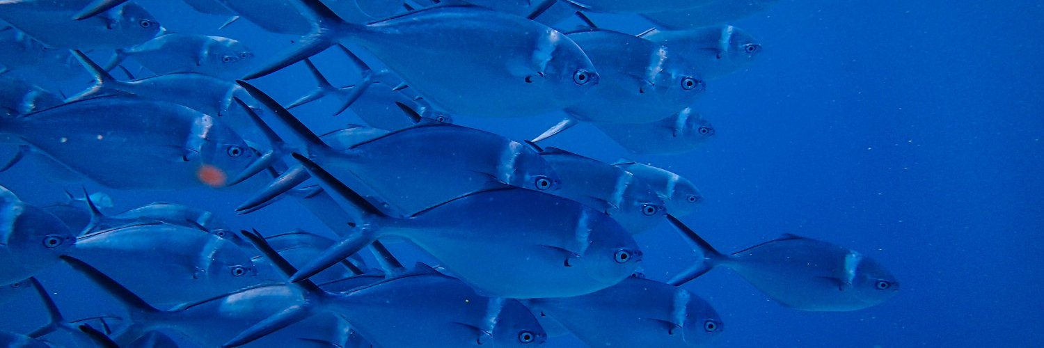 Expo 2020 di Dubai: i progetti a guida italiana nell’area del Mediterraneo