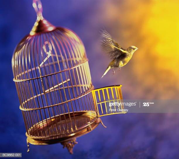 I presupposti per ricominciare