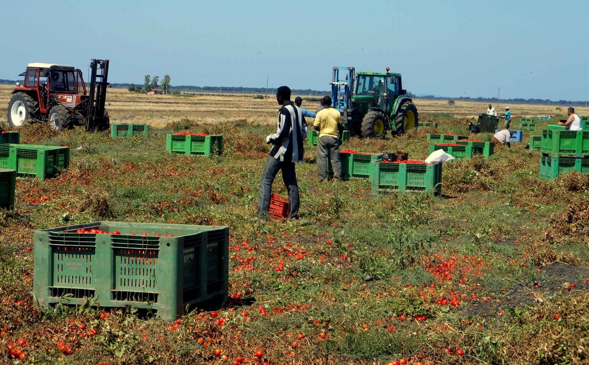 I voucher per far ripartire il settore agricolo durante la crisi 