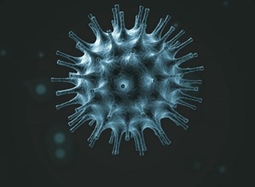 Gli utili idioti al tempo del coronavirus