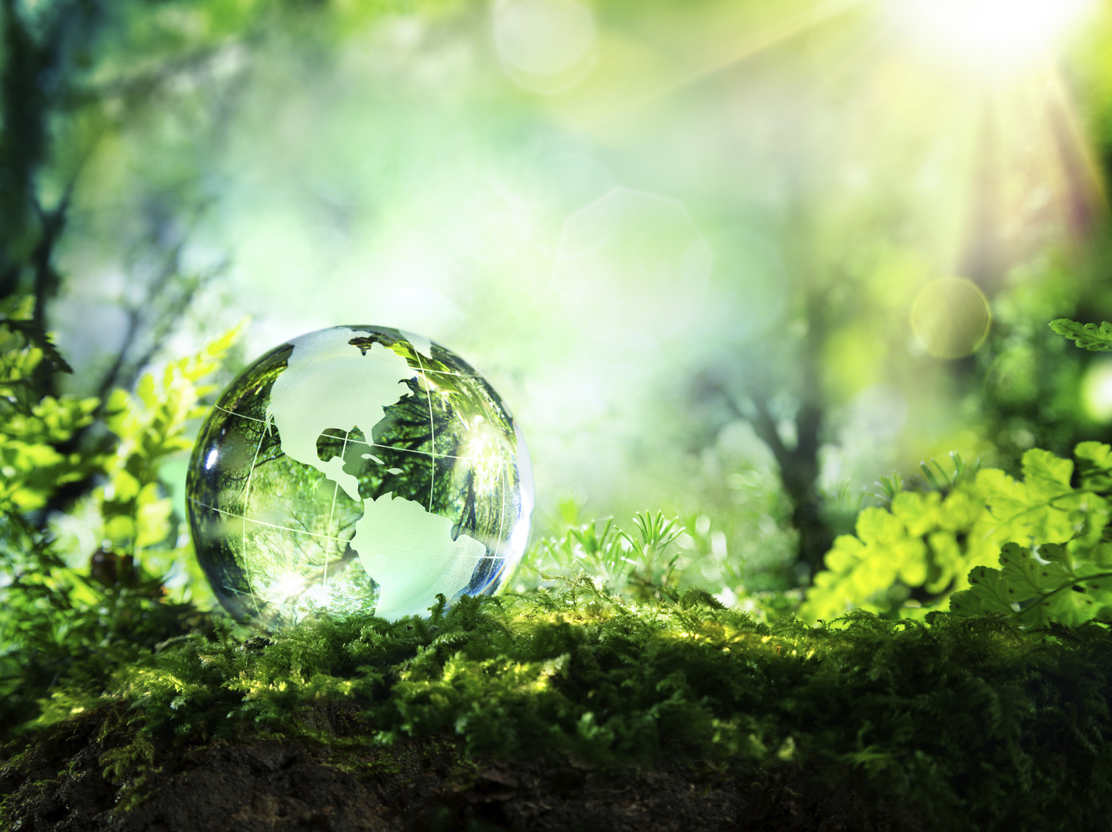 Gli economisti confermano l’efficacia delle politiche green