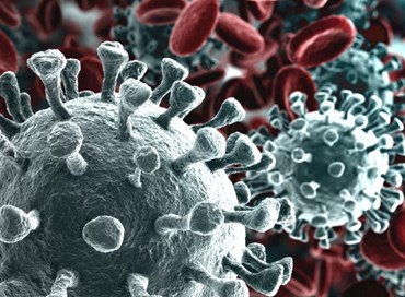 Numeri, libertà e virus