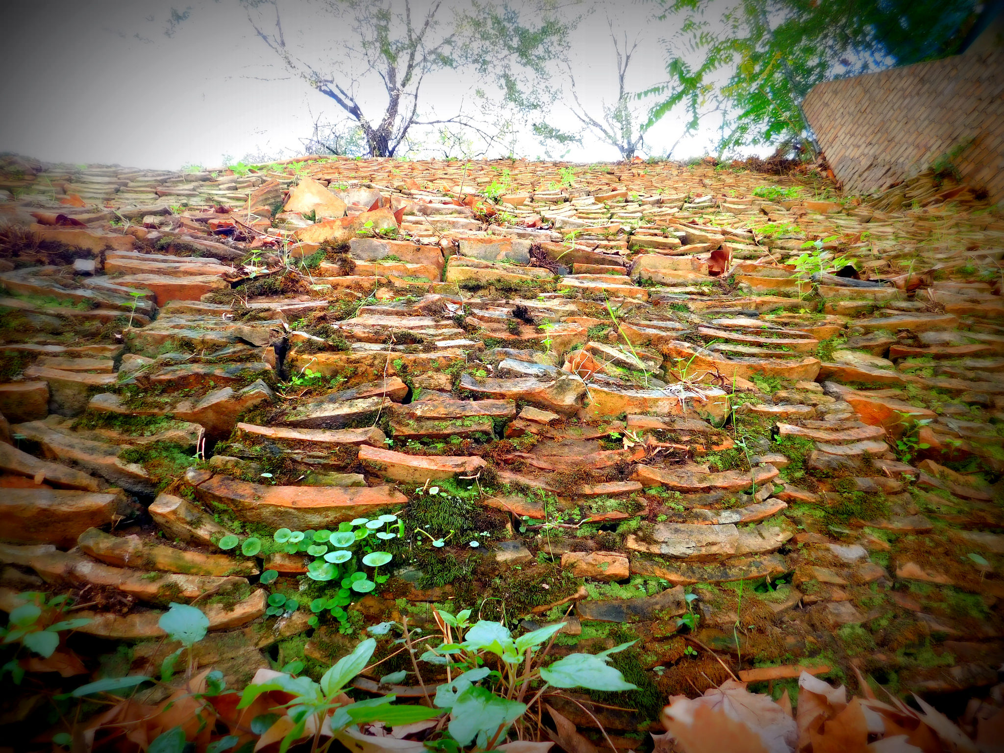 In passato le denunce in un dicastero avrebbero creato una crisi di Governo