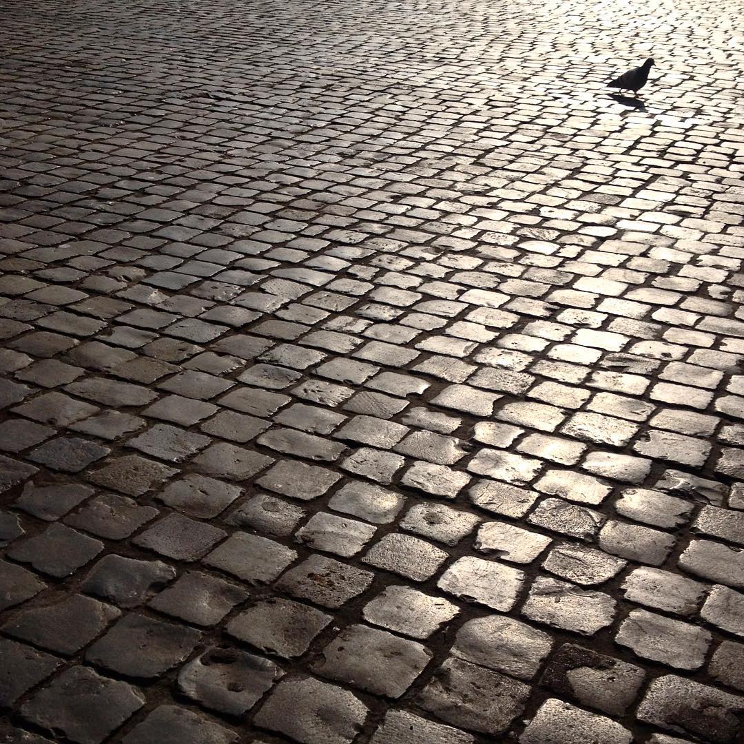 I sampietrini di Madama Virginia 