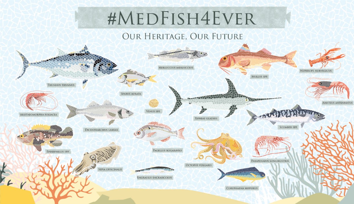 Commissione europea: tutela e valorizzazione dei mari