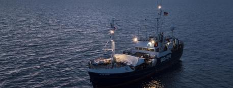 Alan Kurdi, il Viminale dà l’ok allo sbarco in Sardegna 