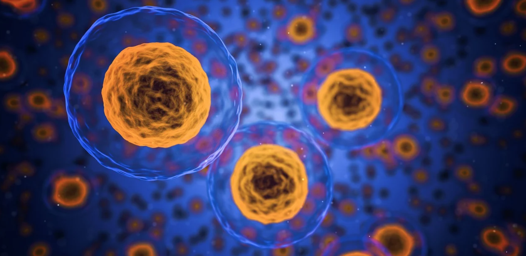 La musica fa vibrare le nostre cellule