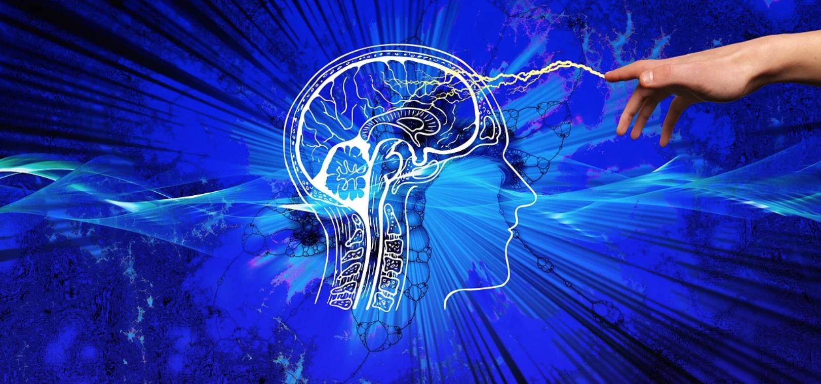 Come gli stormi degli uccelli, le nostre cellule danzano all’unisono 