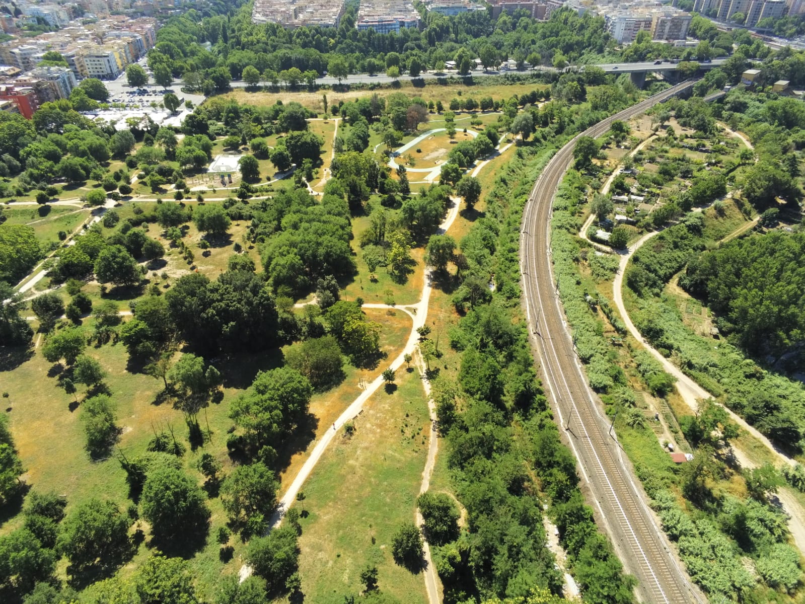 I Rotary clubs di Roma per il progetto “Ambiente Capitale”