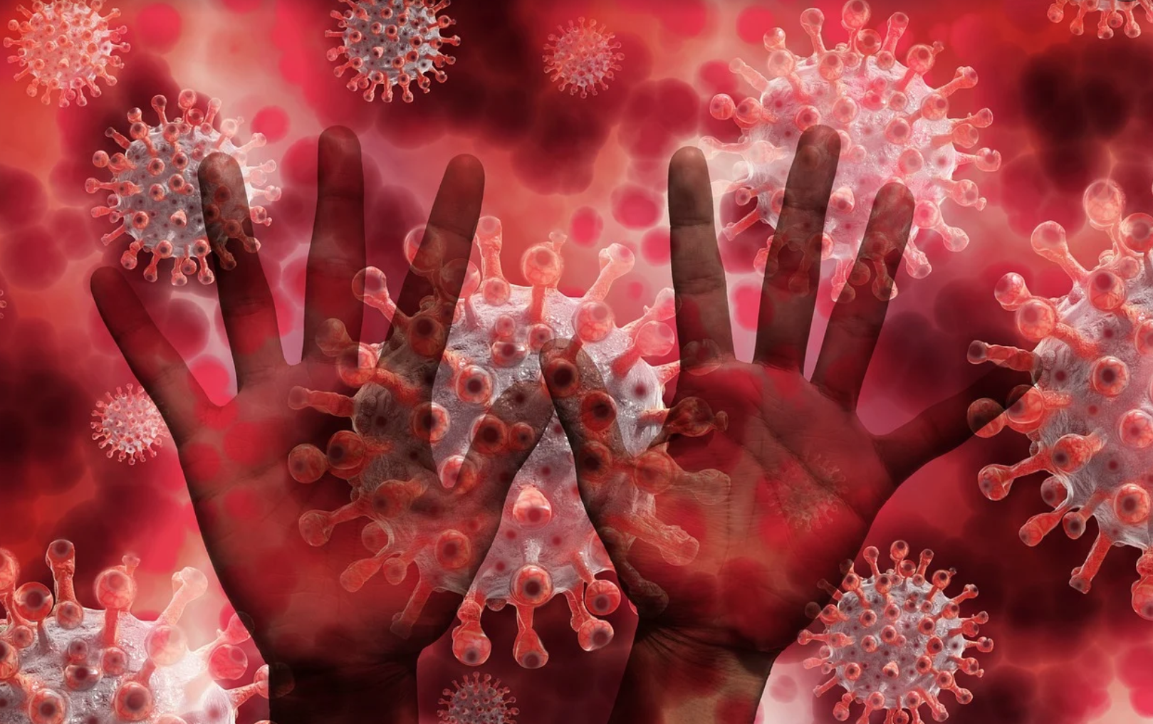 La folle gestione del Covid è nei numeri