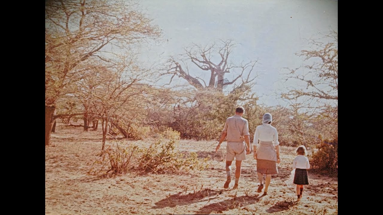 Il dolore di una bambina nel romanzo di Hilary Ann Mostert