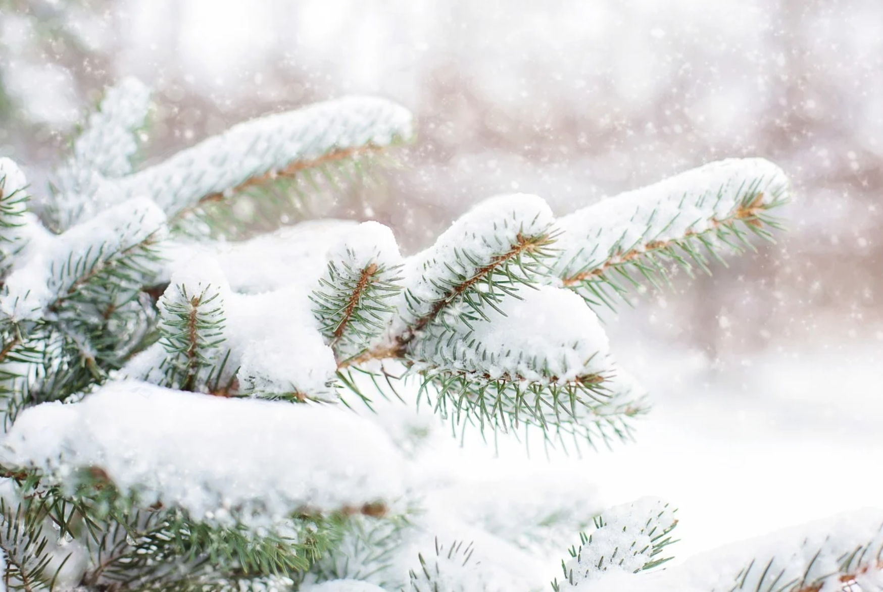 Passeremo il Natale in un immenso gulag