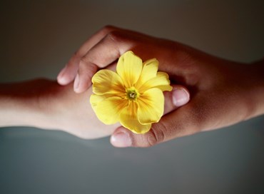 Il sentimento del gelo familiare