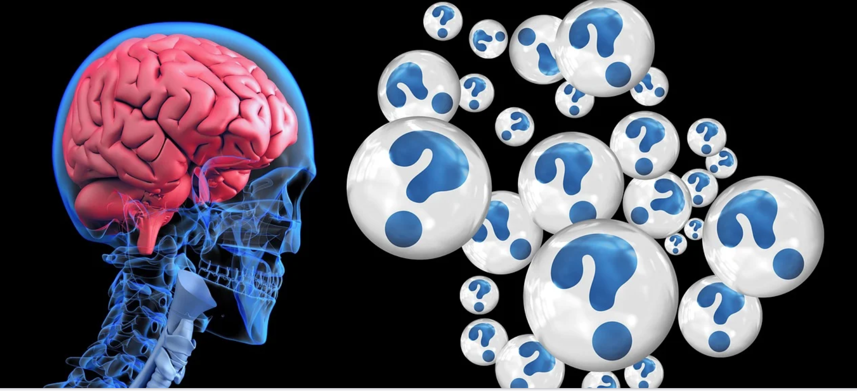 Una “Norimberga” per l’idiozia del Governo