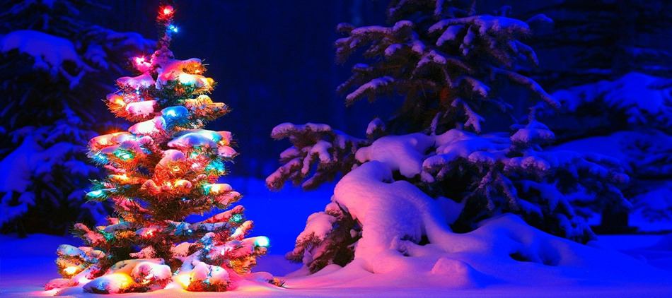 Buon Natale, L’Opinione torna il 7 gennaio