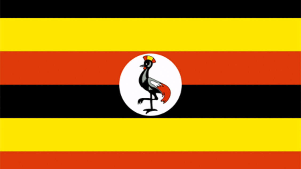 Elezioni in Uganda: il punto