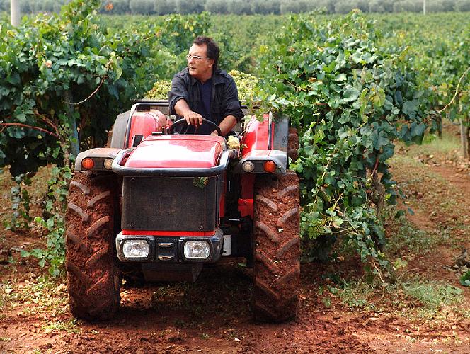 Al Bano Carrisi: il “viticantacoltore”