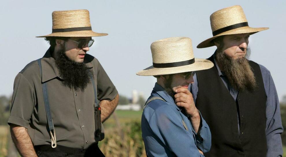 Gli Amish e l’immunità di gregge