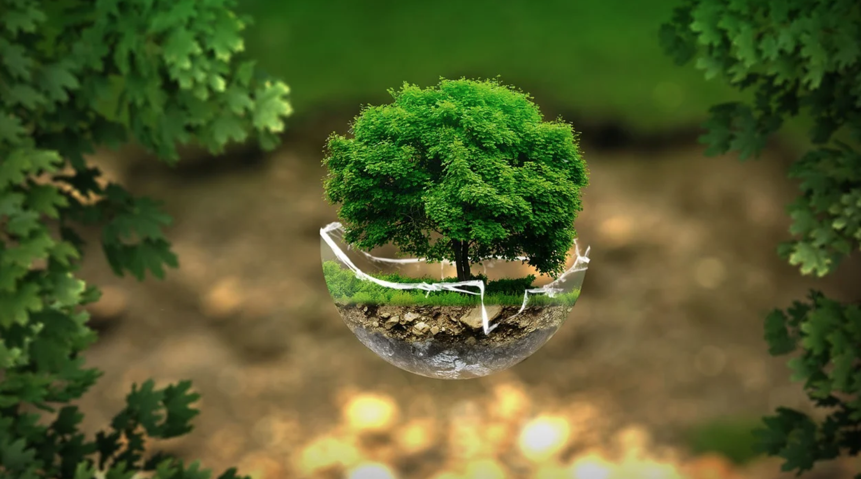 Oltre la pandemia: conversione ecologica e futuro