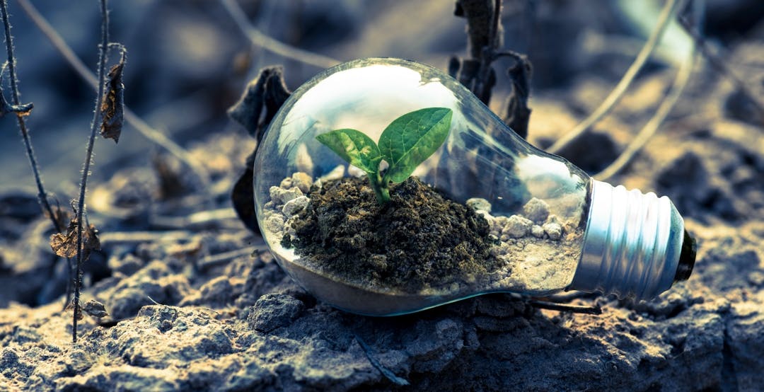 Il rebus della transizione ecologica