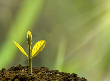 Dal green al digitale: opportunità per startup e imprese innovative