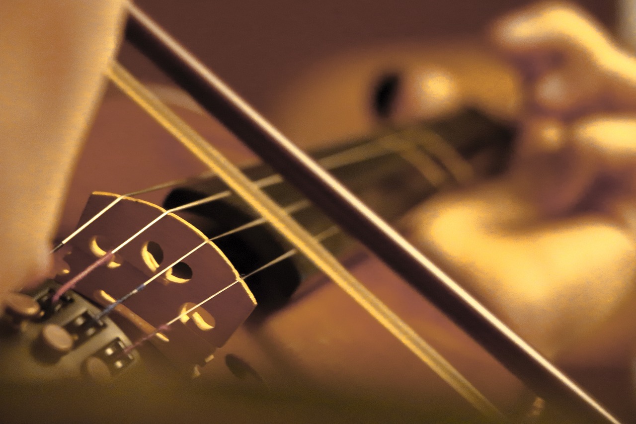 I silenzi musicali della legge