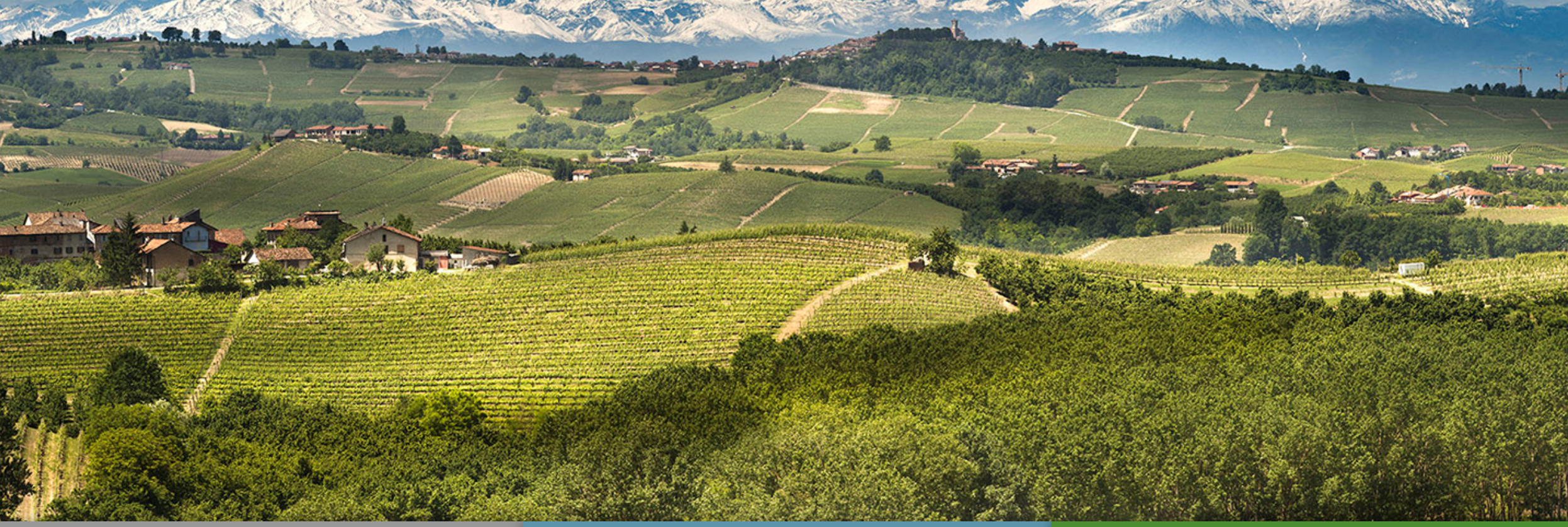 Logistica e digitale nel settore agroalimentare: le Langhe