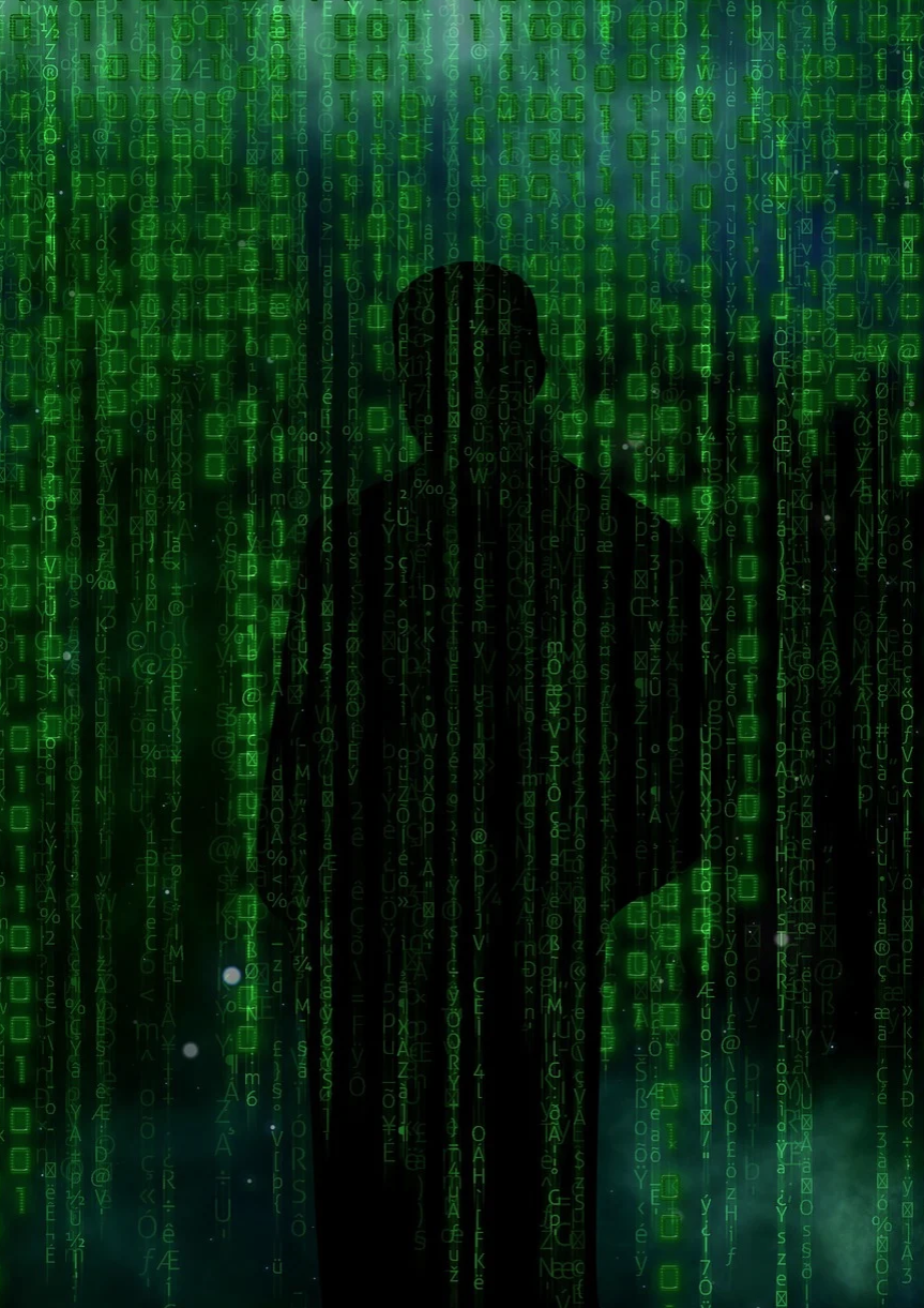 Crimini da banda larga: il mondo della cyber-insecurity