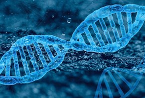 Principi di etica e le origini della manipolazione genetica