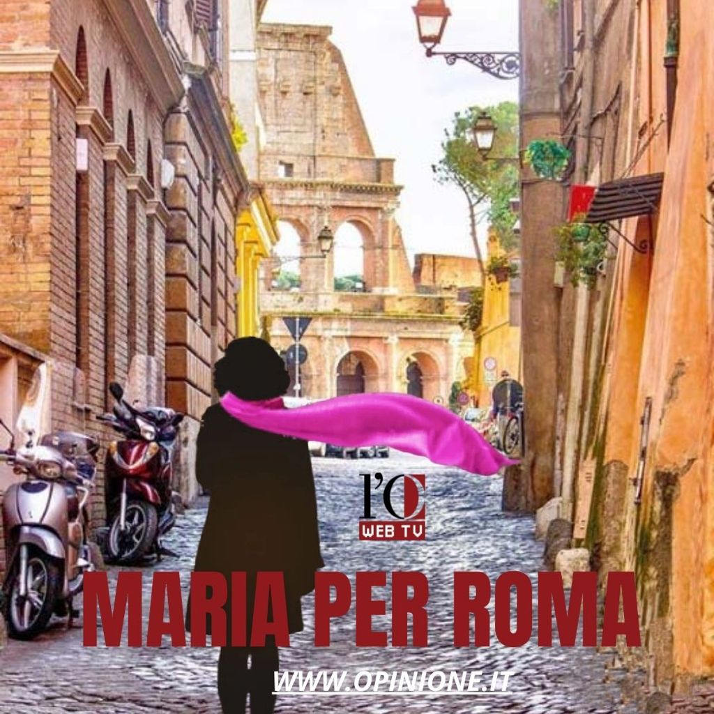 I pini storici di Roma a rischio (video)