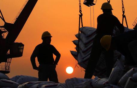 La società dei miracoli