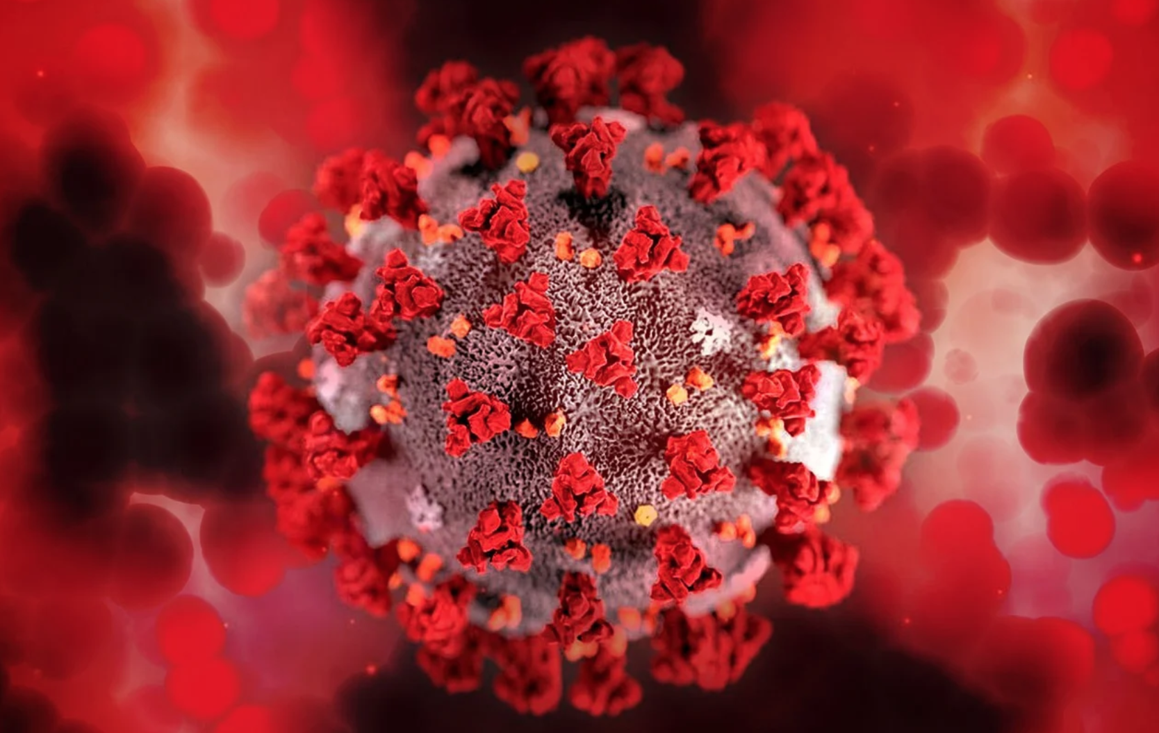 Covid e il rimedio alla disoccupazione: licenziare