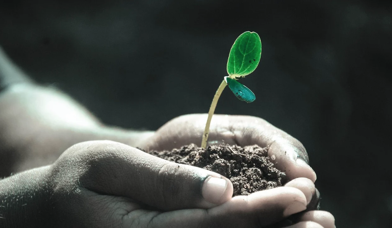 Cresceremo solo quando torneremo alla normalità