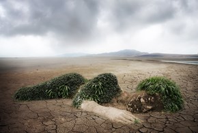 Il dio verde ovvero ogni eccesso è di troppo