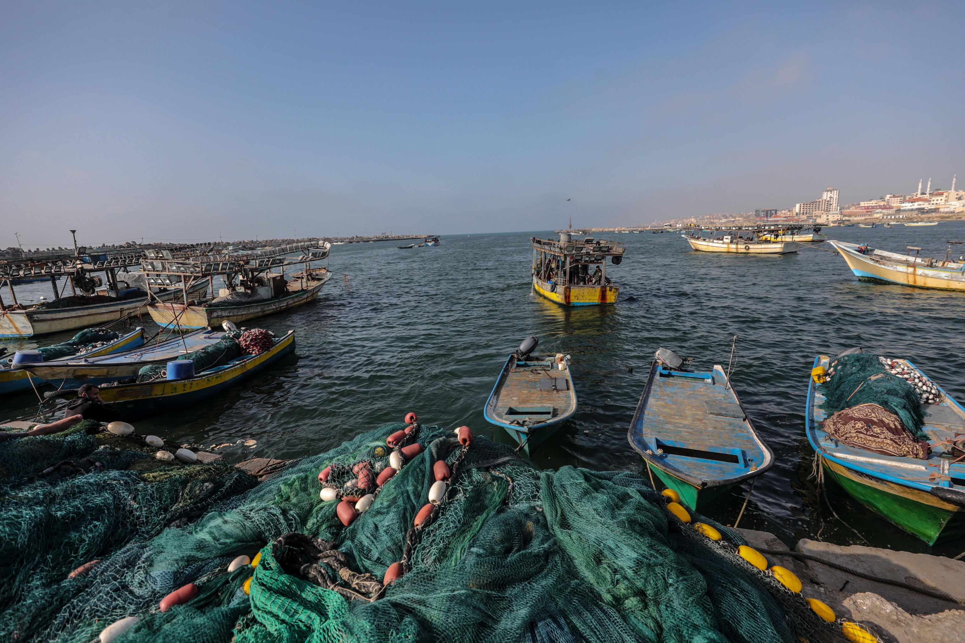Acquacoltura, a Sealogy le nuove dinamiche