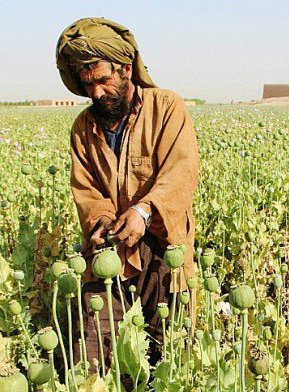 Afghanistan tra tossicodipendenza, carestia ed esecuzioni