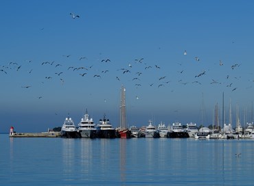 Un organismo per i porti del Sud Adriatico e dello Jonio