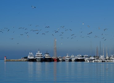 Un organismo per i porti del Sud Adriatico e dello Jonio