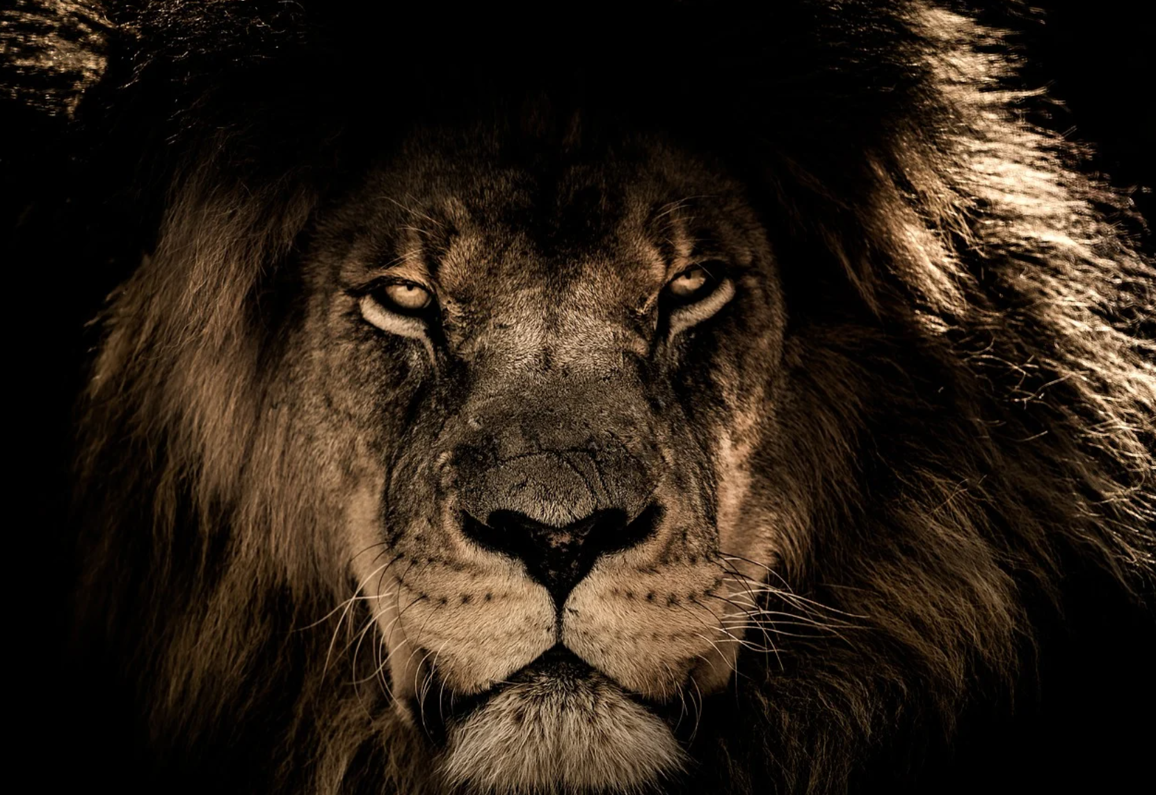 Centrodestra: la ricerca di un leader