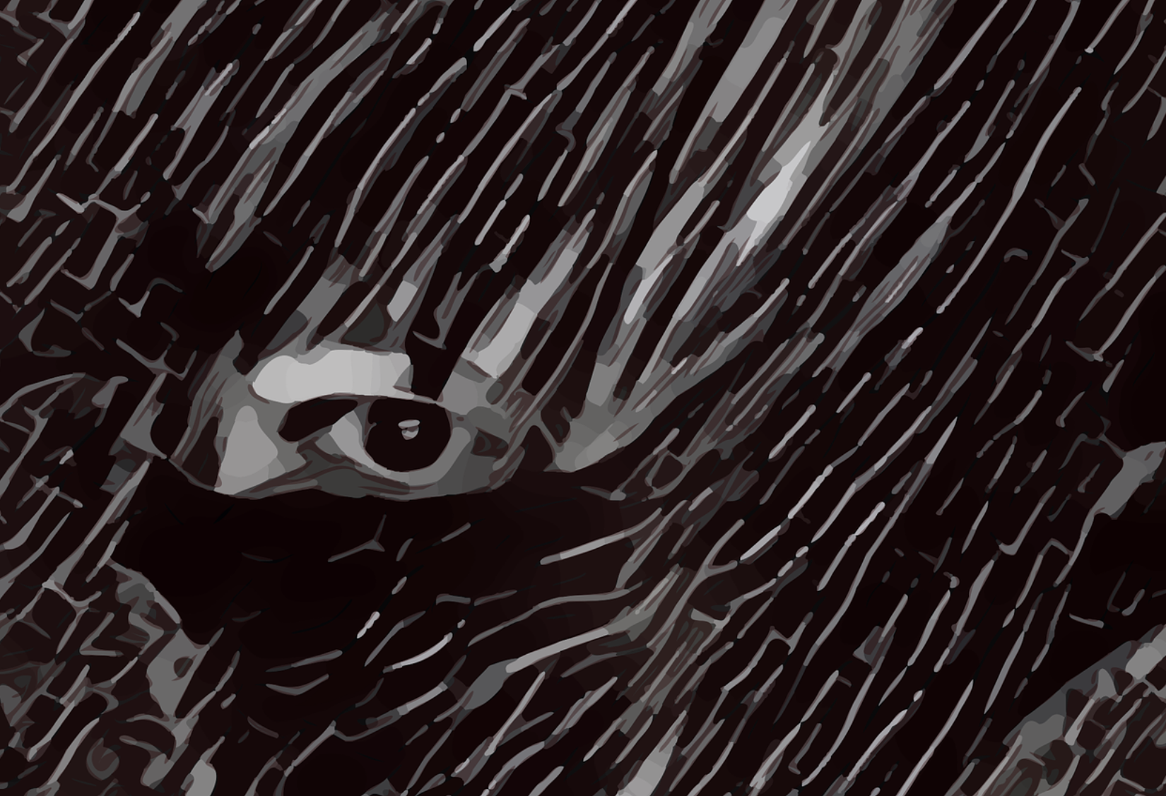 Il comandamento dimenticato: “Non rubare”