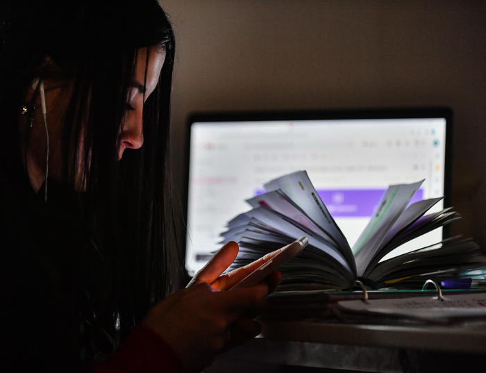 I diplomati bocciano la dad