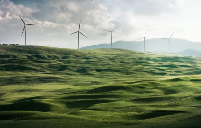 Con la riforma degli articoli 9 e 41 l’ecologicamente corretto entra in Costituzione