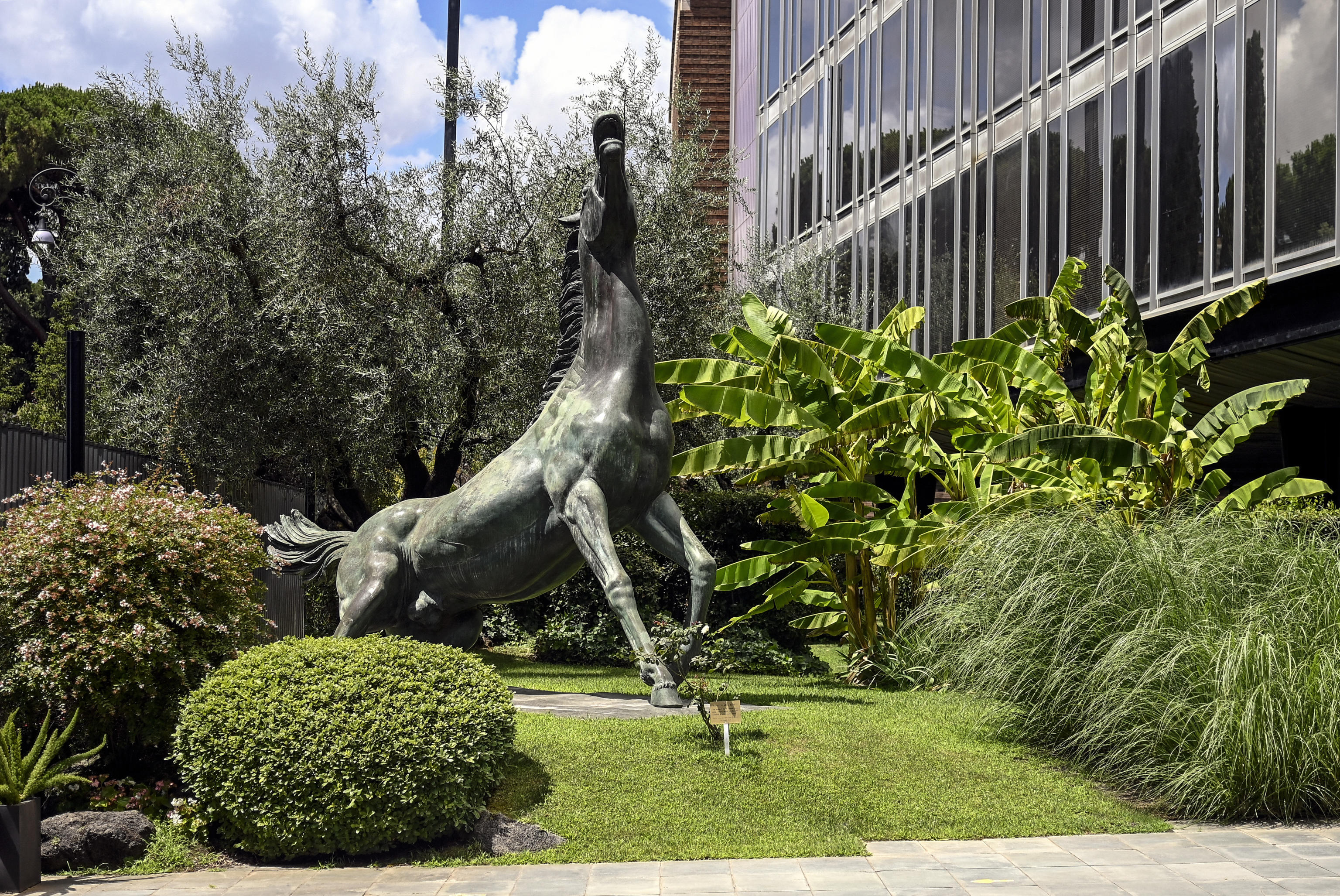 Rai-Mediaset: strategie diverse