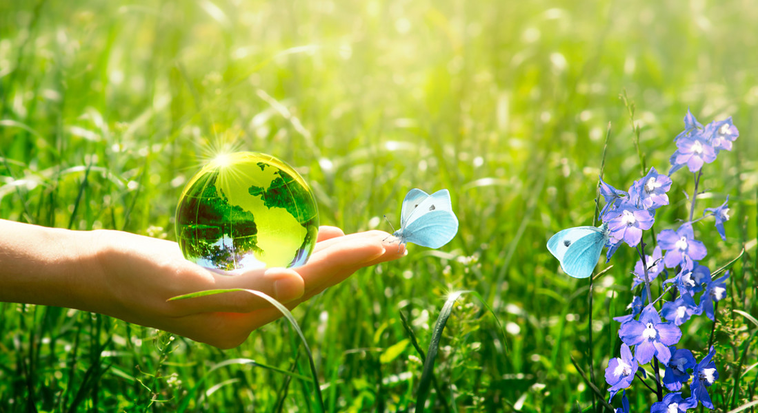 Partiti e ambiente, quali valori?