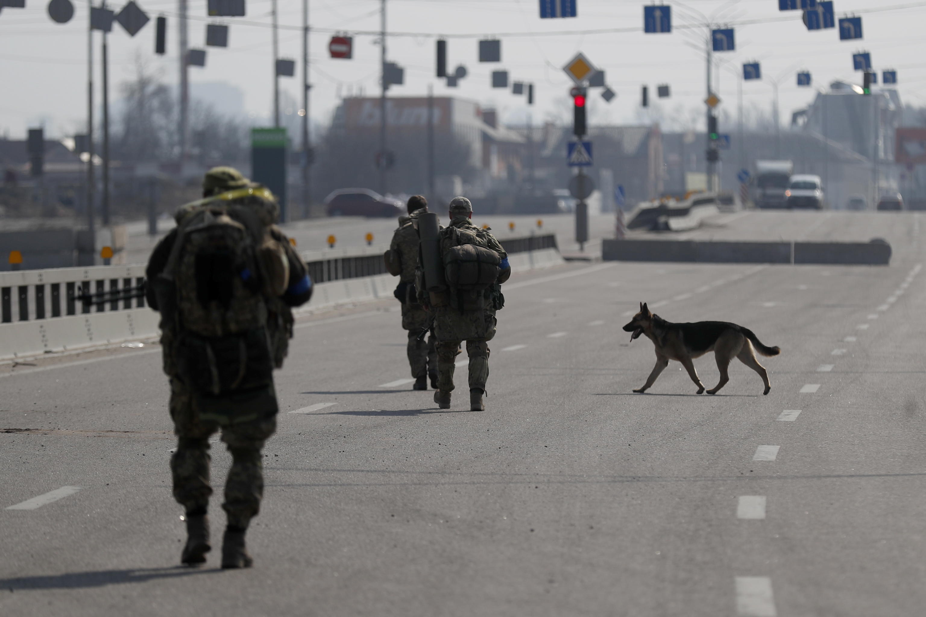 Attenzione, arruolarsi nella Legione internazionale ucraina è un reato