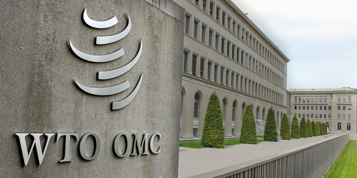 Buon compleanno Wto, un’esperienza positiva da rilanciare: Un focus