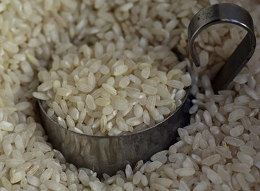Siccità e costi: sos per il riso italiano