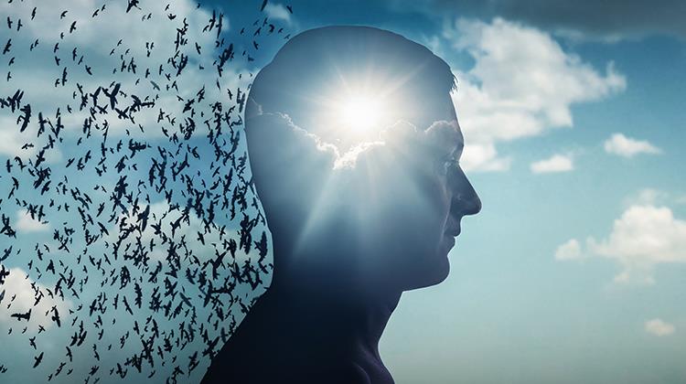 Un filosofo veramente “peripatetico”